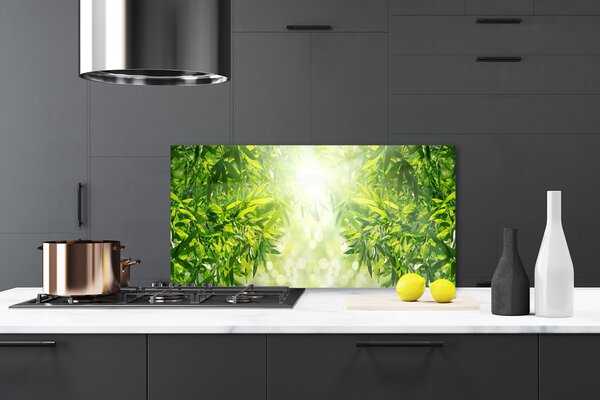 Nástenný panel  Listy príroda rastlina 120x60 cm
