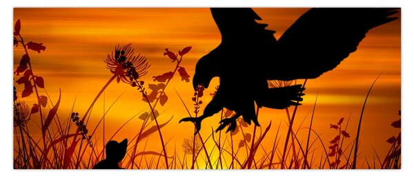 Obraz siluety dravca (120x50 cm)
