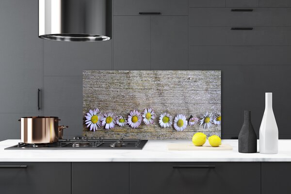 Sklenený obklad Do kuchyne Sedmokráska rastlina príroda 120x60 cm