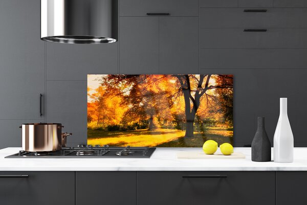 Sklenený obklad Do kuchyne Stromy jeseň príroda 120x60 cm