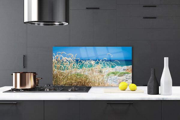 Nástenný panel  Pláž príroda 100x50 cm