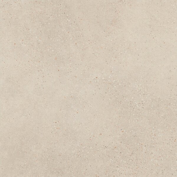 Asphalt Grit 60x60 R