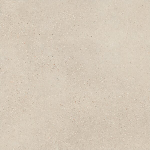 Asphalt Grit 60x60 R