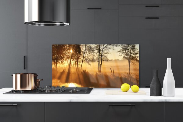 Nástenný panel  Stromy príroda 120x60 cm