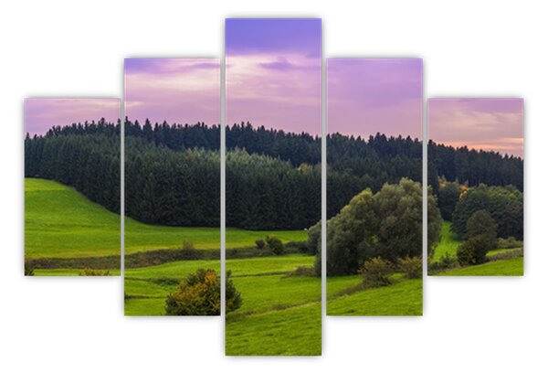 Obraz lúky (150x105 cm)