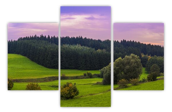 Obraz lúky (90x60 cm)