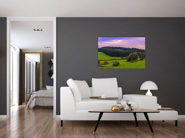 Obraz lúky (90x60 cm)