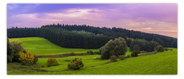 Obraz lúky (120x50 cm)