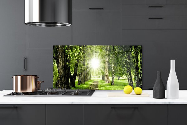 Sklenený obklad Do kuchyne Les slnko chodník príroda 120x60 cm