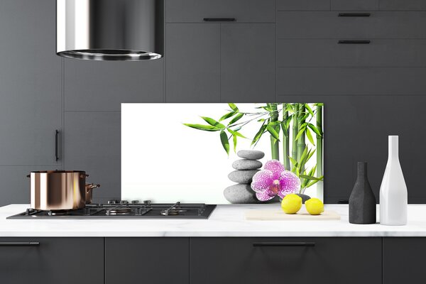 Sklenený obklad Do kuchyne Bambus kamene zen umenie 120x60 cm