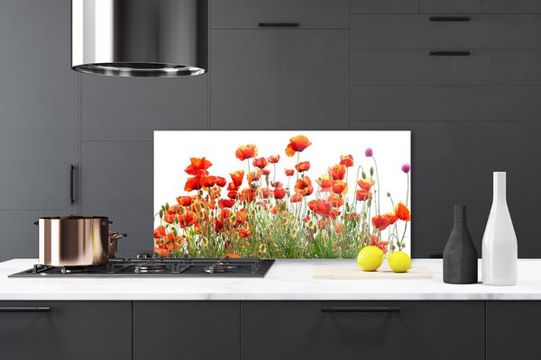 Sklenený obklad Do kuchyne Maky rastlina príroda 120x60 cm