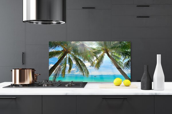 Sklenený obklad Do kuchyne Palma strom more krajina 120x60 cm