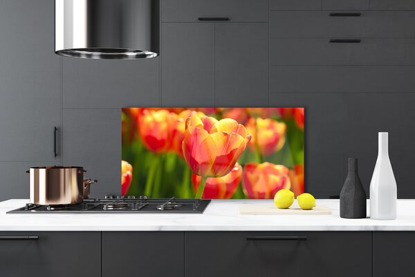 Sklenený obklad Do kuchyne Tulipány kvety rastlina 100x50 cm