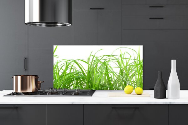 Sklenený obklad Do kuchyne Tráva rastlina príroda 120x60 cm