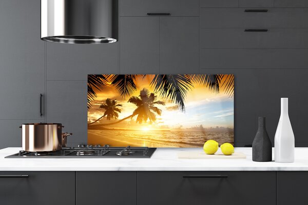 Sklenený obklad Do kuchyne Pláž palma more krajina 120x60 cm