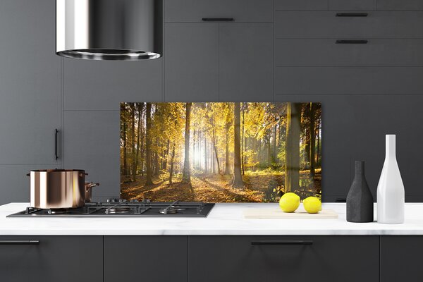 Sklenený obklad Do kuchyne Les listy rastlina príroda 120x60 cm