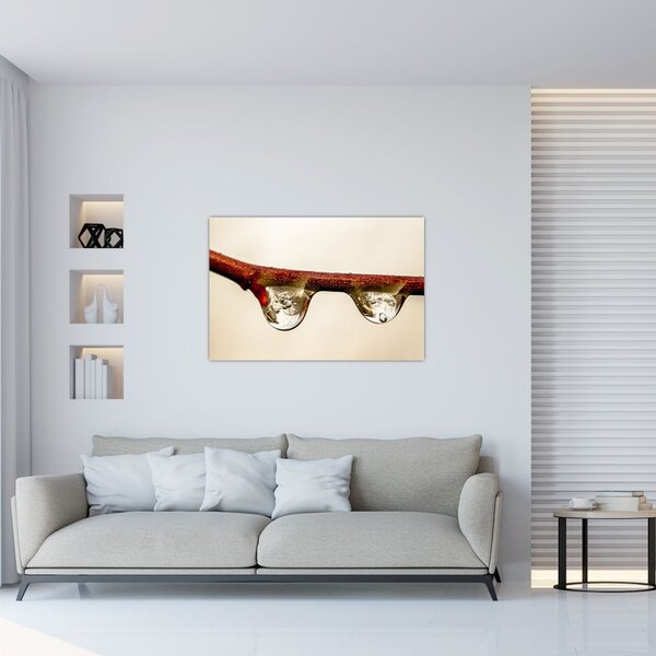 Obraz kvapiek na vetve (90x60 cm)