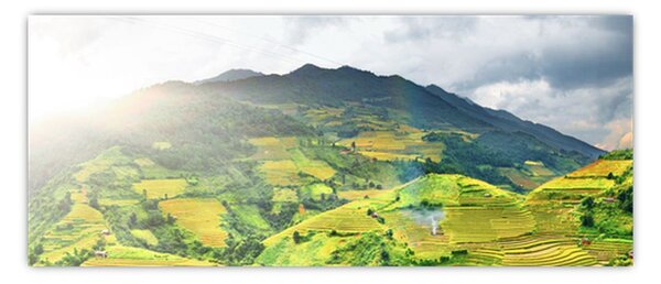 Obraz plantáže (120x50 cm)