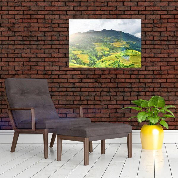 Obraz plantáže (90x60 cm)