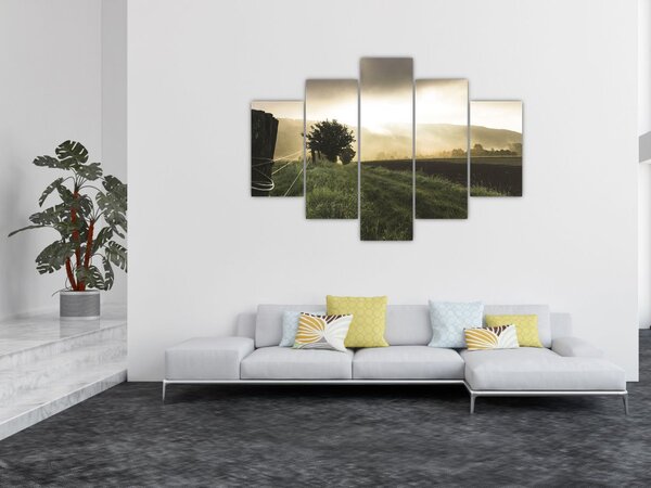 Obraz lúky (150x105 cm)