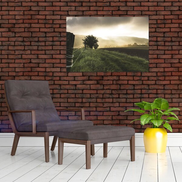 Obraz lúky (90x60 cm)