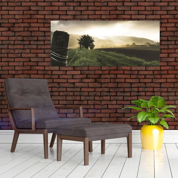 Obraz lúky (120x50 cm)