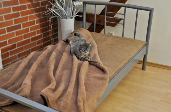 Luxusná celoročná deka z ťavej vlny Premium 200x150 cm 200x155 cm
