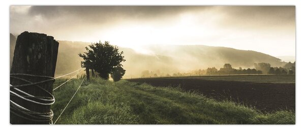 Obraz lúky (120x50 cm)