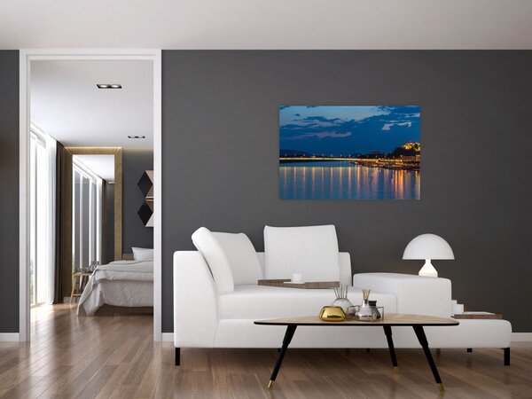 Obraz Bratislavy s hradom (90x60 cm)
