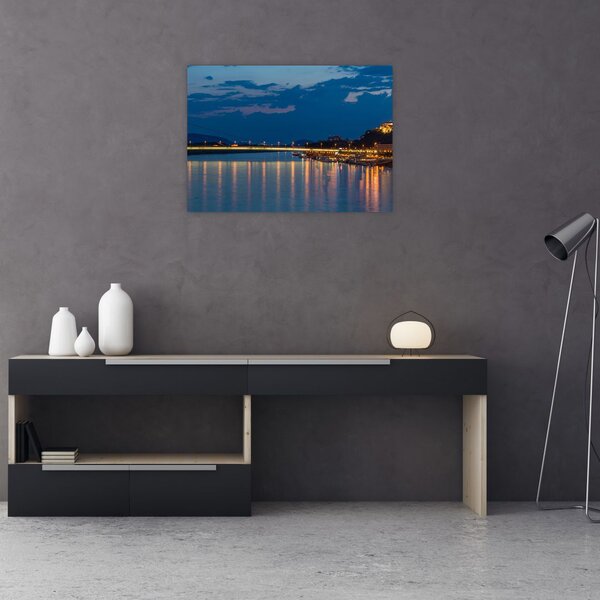 Obraz Bratislavy s hradom (70x50 cm)