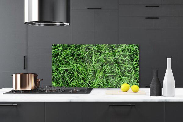Nástenný panel  Tráva trávnik 120x60 cm