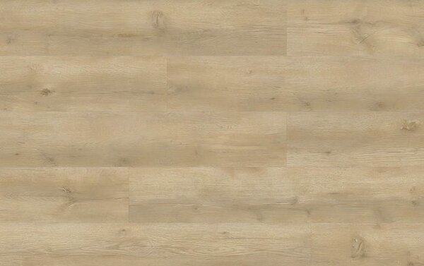 Grande Floor XL Click 53452 BM OAK 5 + 1 mm
