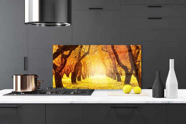 Sklenený obklad Do kuchyne Les chodník stromy príroda 120x60 cm