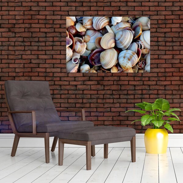 Obraz mušlí (90x60 cm)