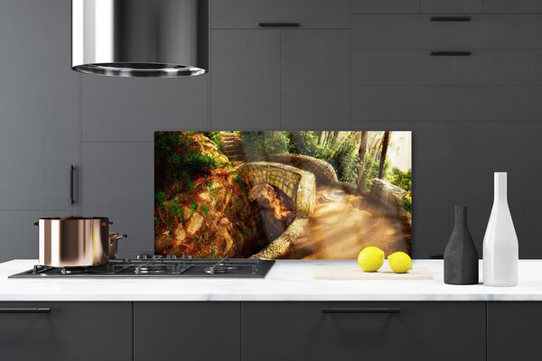 Sklenený obklad Do kuchyne Most stromy architektúra 120x60 cm