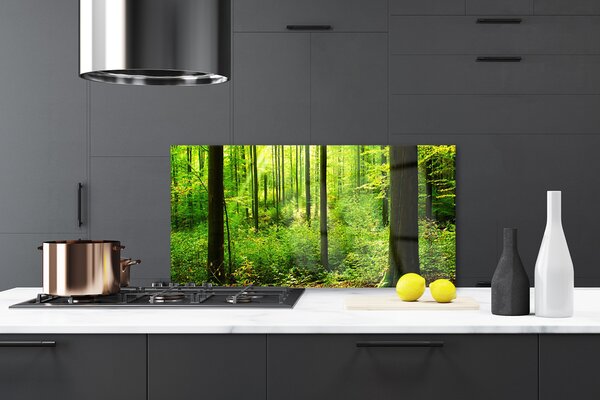 Sklenený obklad Do kuchyne Les zeleň stromy príroda 120x60 cm