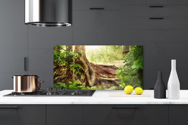 Sklenený obklad Do kuchyne Strom kmeň príroda les 120x60 cm