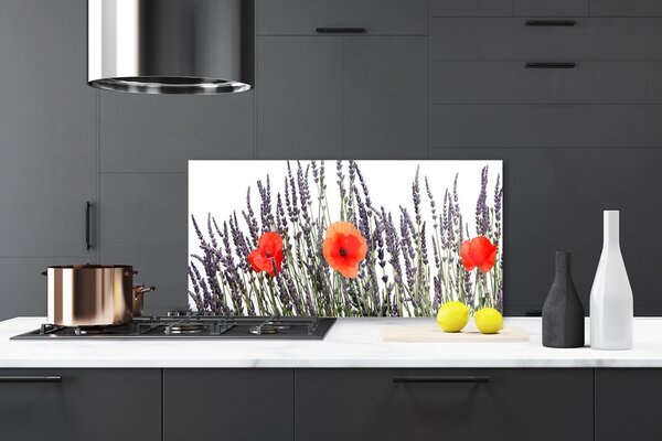 Sklenený obklad Do kuchyne Kvety maky pole trávy 120x60 cm