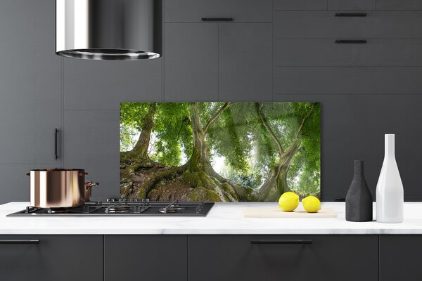 Sklenený obklad Do kuchyne Stromy rastlina príroda 120x60 cm