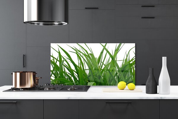Sklenený obklad Do kuchyne Tráva rastlina príroda 120x60 cm