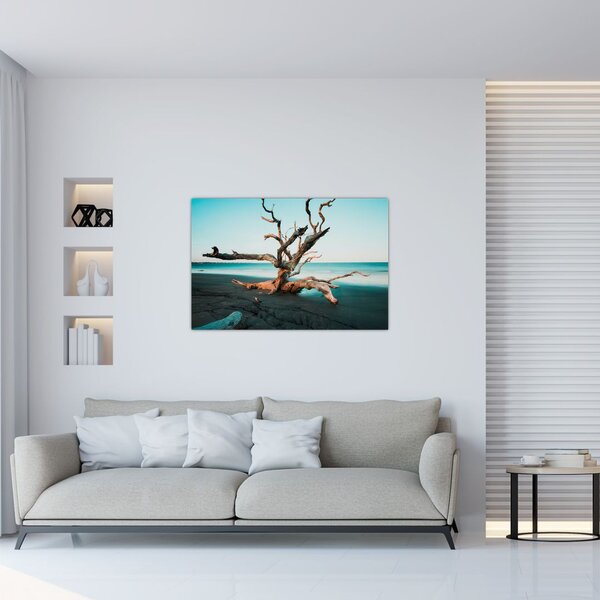 Obraz - Vyplavenie na pláži (90x60 cm)