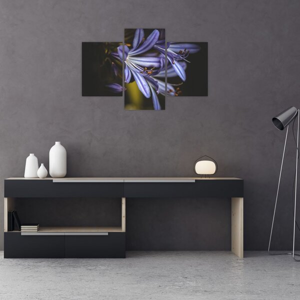 Obraz - Lila (90x60 cm)
