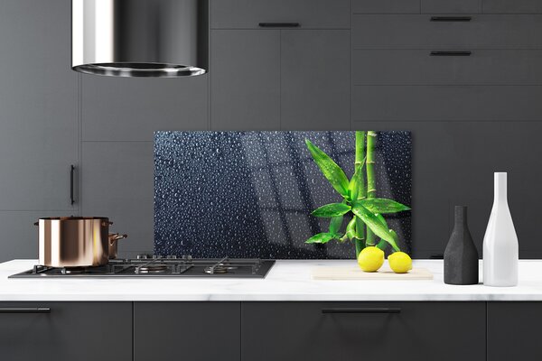 Sklenený obklad Do kuchyne Bambus stonka rastlina príroda 120x60 cm