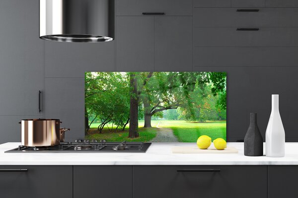 Sklenený obklad Do kuchyne Chodník stromy príroda 120x60 cm