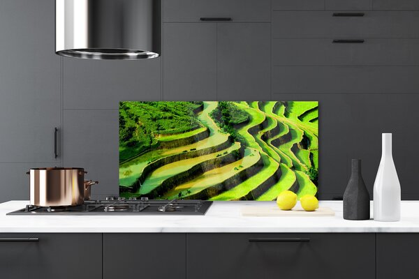 Sklenený obklad Do kuchyne Pole ryža les umenie 120x60 cm