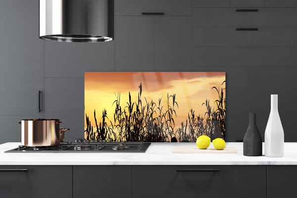 Sklenený obklad Do kuchyne Listy západ lúka pole 120x60 cm