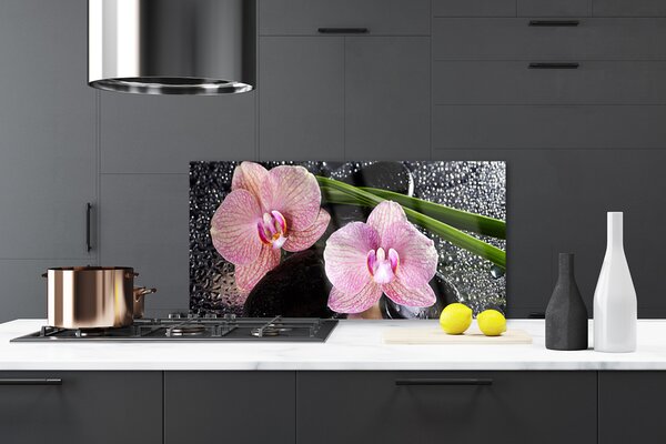 Sklenený obklad Do kuchyne Kvety orchidea kamene zen 120x60 cm
