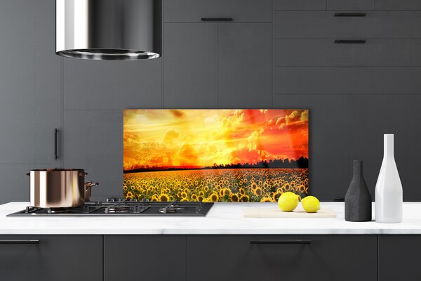 Sklenený obklad Do kuchyne Lúka slnečnica kvety 100x50 cm