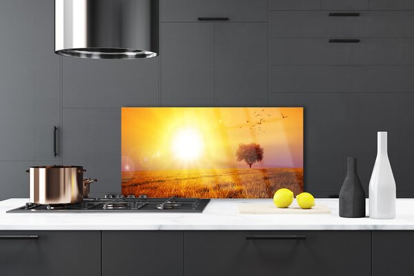 Sklenený obklad Do kuchyne Západ slnka lúka plátky 100x50 cm