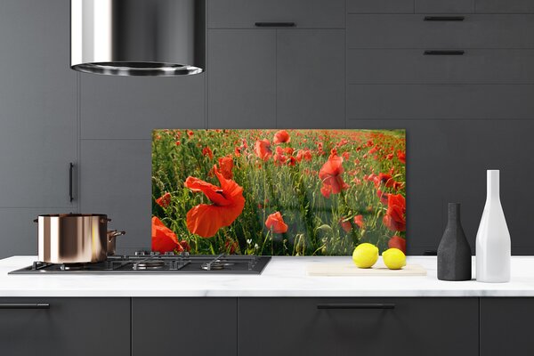Sklenený obklad Do kuchyne Maky rastlina príroda 120x60 cm